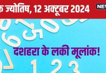Ank Jyotish 12 october 2024: आज लगेगा जैकपॉट, इनकम में होगी बढ़ोत्तरी, कार और प्रॉपर्टी खरीदने का योग! जानें अपना भविष्यफल