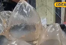 शरद पूर्णिमा की रात इस मिठाई पर भी गिरता है अमृत! यहां साल में एक बार बनता है… भगवान का पवित्र भोग