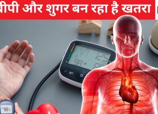 हाई बीपी और डायबिटीज में ‘Time Bomb’ के मुहाने पर है भारत, 68 % क्रोनिक बीमारियां इन्ही वजह से, क्या है कारण और कैसे करें कंट्रोल