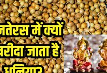 Dhanteras 2024: धनतेरस पर क्यों खरीदा जाता है धनिया? पूजा में यूज करने के बाद करते हैं यह काम, जानें मान्यता