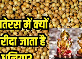 Dhanteras 2024: धनतेरस पर क्यों खरीदा जाता है धनिया? पूजा में यूज करने के बाद करते हैं यह काम, जानें मान्यता