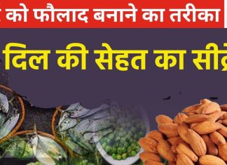 सीने में धड़कते दिल का पूरा ख्याल रखेंगे ये 7 कमाल की चीजें, दिल रहेगा जवान और दिमाग भी रहेगा दुरुस्त