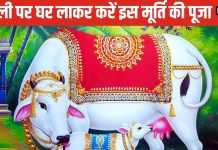 Diwali 2024 Upay: दिवाली पर करें इस गाय की पूजा, समुद्र मंथन से हुई थी उत्पन्न, घर में आएगी सुख, शांति और समृद्धि!