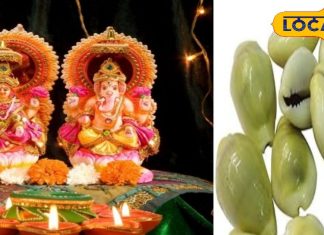 Diwali Upay: कमाई के बावजूद नहीं टिक रहा धन? दिवाली पर करें कौड़ी वाला टोटका, साल भर बरसेगा पैसा!