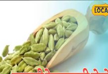 Elaichi ke Totke : किचन में रखी ये हरी चीज है चमत्कारी, अपार धन-सफलता और रिश्तों में मधुरता के लिए करें ये टोटका