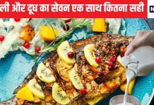 क्या सच में दूध और मछली एक साथ खाने से कुष्ठ रोग होता है? क्या है सच्चाई, क्या कहता है विज्ञान