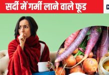 सर्दी में शरीर को हीटिंग मशीन बना देंगे ये 5 चुनिंदा फूड, कड़ाके की ठंड आने से पहले शरीर को बना लें ढाल, हमेशा काम आएगा