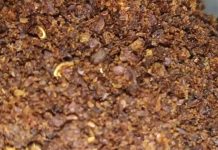 Health Tips: बहुत ही चमत्कारी है यह औषधि, पेट और आंत की सभी बीमारियां झट से हो जाएंगी दूर, ऐसे करें इस्तेमाल