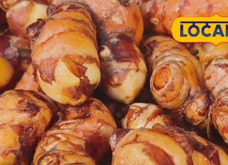 Green Turmeric Benefits in winter ayurveda and medicinal uses sa