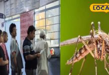 राजस्थान में डेंगू का कहर, 4 हजार से अधिक मरीज हॉस्पिटल में भर्ती