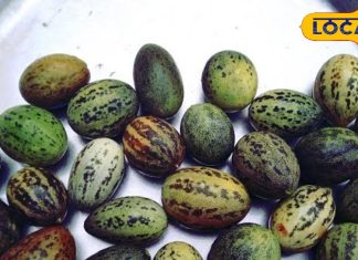 गरीबों की किसमिस है ये सब्जी, कई बीमारियों के लिए रामबाण