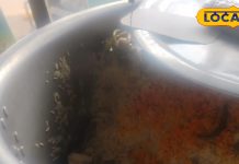 Bulandshahr Biryani: यूपी में यहां मिलेगी असली हैदराबादी बिरयानी का स्वाद, 60 रुपए में भर जाएगा पेट