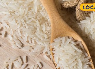 अब डायबिटीज के मरीज भी खा सकेंगे चावल, विकसित हुई यह नई प्रजाति, कंट्रोल में रहेगा शुगर