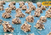 पहाड़ी जायका: पहाड़ी पेठे की बड़ी का स्वाद लाजवाब, घर पर ऐसे करें तैयार