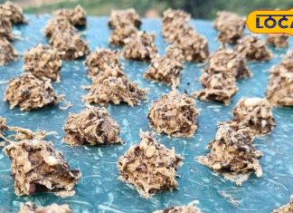 पहाड़ी जायका: पहाड़ी पेठे की बड़ी का स्वाद लाजवाब, घर पर ऐसे करें तैयार