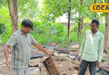 आलीशान प्रॉपर्टी के दाम से भी महंगा है यह शहद, 1 Gm में 60 अंडों के बराबर ताकत