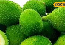 दवाइयों का खजाना है यह जंगली सब्जी! डायबिटीज सहित कई रोगों में कारगर