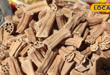 इस सूखी सब्जी को सिर्फ 50 ग्राम खरीदते हैं लोग, सेहत के लिए होती है रामबाण