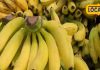 कई बीमारियों का कारण बन सकता है केला, जल्द पकाने के लिए किया जाता है गंदा काम