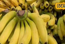 कई बीमारियों का कारण बन सकता है केला, जल्द पकाने के लिए किया जाता है गंदा काम