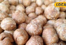 Famous Kachori: 2 रुपये में मिलती है ये खास कचौरी, 1 महीने तक नहीं होती खराब, अमेरिका-दुबई तक फेमस