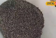 हजारों दवाओं की बाप है यह औषधि, हड्डियों को बना देती है बहुत मजबूत, घर बैठे शक्तिशाली बन जाएंगे आप!