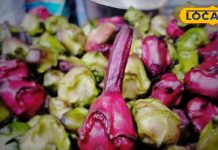 बाजार में आते ही छा गया ये बरसाती फल, फायदे जान खाने से नहीं रोक पाएंगे आप