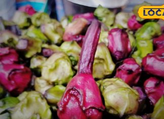 बाजार में आते ही छा गया ये बरसाती फल, फायदे जान खाने से नहीं रोक पाएंगे आप