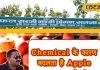 Ground Report: सेब में केमिकल का खेल! एक्सपर्ट ने बताया खाने का तरीका, जान लें… फिट रहेंगे