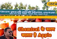 Ground Report: सेब में केमिकल का खेल! एक्सपर्ट ने बताया खाने का तरीका, जान लें… फिट रहेंगे