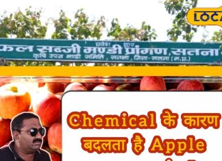 Ground Report: सेब में केमिकल का खेल! एक्सपर्ट ने बताया खाने का तरीका, जान लें… फिट रहेंगे