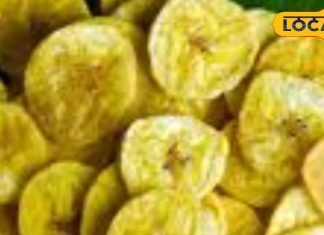 Samastipur News : चटपटी चीजों के खाने के हैं शौकीन तो झटपट घर पर ही बना सकते हैं कच्चे केले के चिप्स, जानें बनाने का तरीका