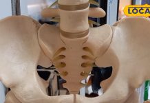 रीड की हड्डी के दर्द को ना करें नजरअंदाज, सहारनपुर में भी हो जाएगा इलाज