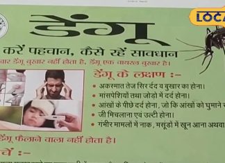 तेजी से बढ़ रहे हैं डेंगू के केस, यह लक्षण दिखने पर तुरंत कराएं जांच, वरना हो सकता है घातक