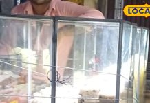 यहां ठेले पर तीन पीढ़ियों से बिक रही है यह अनोखी मिठाई, एक बार चख लिया तो भूल नहीं पाएंगे स्वाद – Bharat.one हिंदी