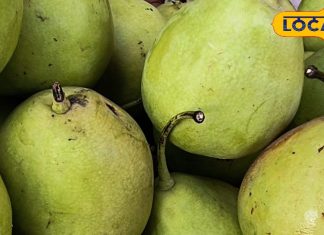 गरीबों का प्रोटीन पाउडर है ये कश्मीरी फल! चील जैसी बनाता है निगाह