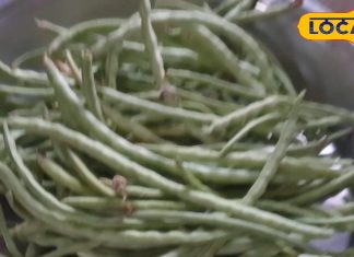 इस बीज में कूट-कूटकर भरे हैं प्रोटीन-विटामिन्स, मोटापा कम करने में रामबाण इलाज