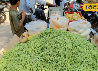 इस बरसाती सब्जी ने बाजार में आती ही मचा दी धूम, कीमत भी बेहद कम