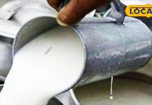 दूध असली है या नकली, दो सेकंड में बता देगी IIT BHU की ये चिप