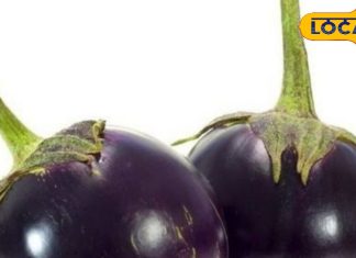 Health Tips: सर्दियों में इस सब्जी का करें सेवन, दिल की सेहत रखता है दुरुस्त, इम्यूनिटी भी होती है मजबूत