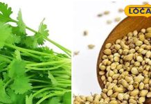 बीज नहीं, छोटा पैकेट बड़ा धमाका कहिए जनाब, वेट लॉस से डॉयबिटीज तक का करता है इलाज