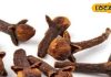Health Tips: दर्द से लेकर सूजन तक का इलाज है आपके किचन में, ये छोटा सा मसाला देता है बड़े फायदे