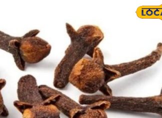 Health Tips: दर्द से लेकर सूजन तक का इलाज है आपके किचन में, ये छोटा सा मसाला देता है बड़े फायदे