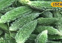 करेले की कड़वाहट में है सेहत का जादू! जानें कैसे करें वजन कम-डायबिटीज कंट्रोल