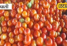 अब सेब को भी आंखे दिखा रहा टमाटर, सलाद की प्लेट से हो चुका गायब