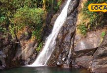 Himachal Pradesh: धर्मशाला जाएं तो ये वॉटरफॉल देखना न भूलें, खूबसूरती ऐसी कि वापस जाने का दिल नहीं करेगा