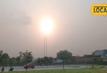 सूर्योदय के कितने मिनट बाद लेना चाहिए धूप, क्या सच में चार गुना मिलता है विटामिन-D? एक्सपर्ट ने बताया सच