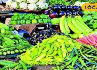 थाली में सब्जी की कटोरी हुई छोटी, आसमान छू रहे सब्जियों के दाम, जानें वजह
