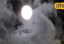 शरद पूर्णिया की मान्यता, क्या सच में चांद की रोशनी में रखा खीर बनता है अमृत