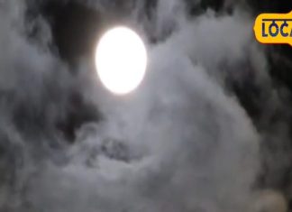 शरद पूर्णिया की मान्यता, क्या सच में चांद की रोशनी में रखा खीर बनता है अमृत